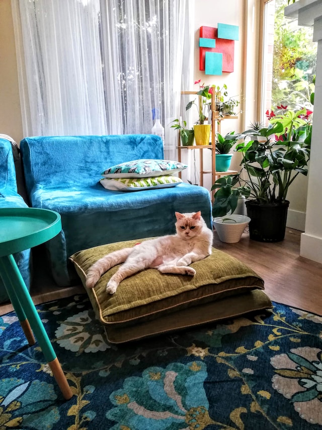 Popular color schemes in Southwest rug designs
